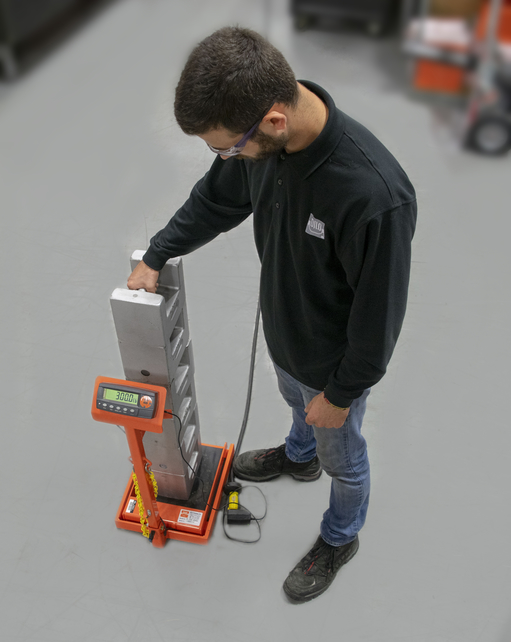DILO- Annual Scale Calibration Program DILO- Annual Scale Calibration Program
